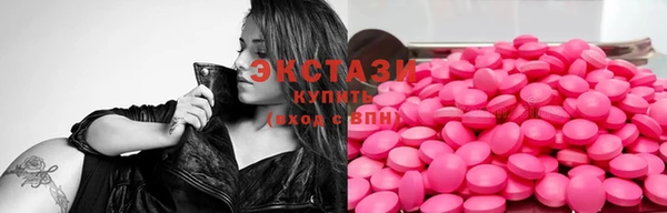 ECSTASY Инсар