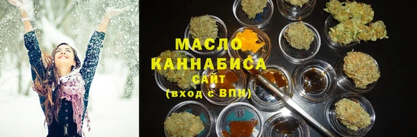 ECSTASY Инсар