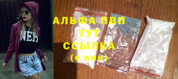 гидра Иннополис