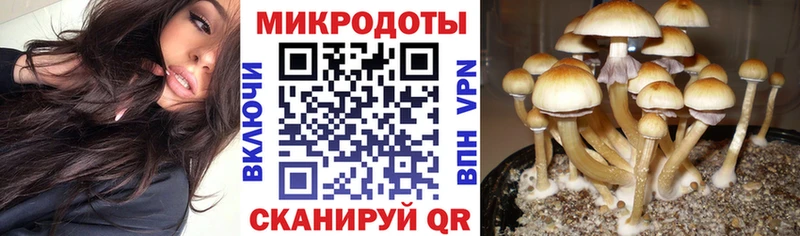 Псилоцибиновые грибы прущие грибы  продажа наркотиков  Харабали 