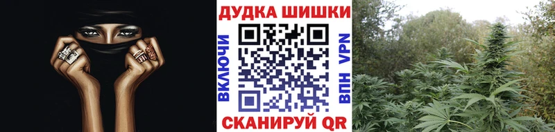shop клад  цена   Харабали  Бошки марихуана семена 